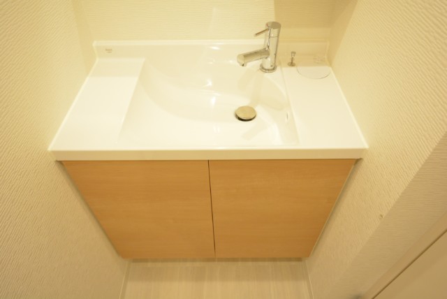 ライオンズマンション大森 洗面室