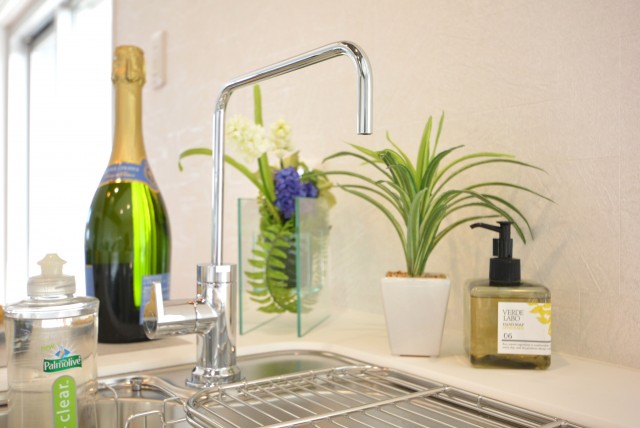 キャッスル共進マンション キッチン