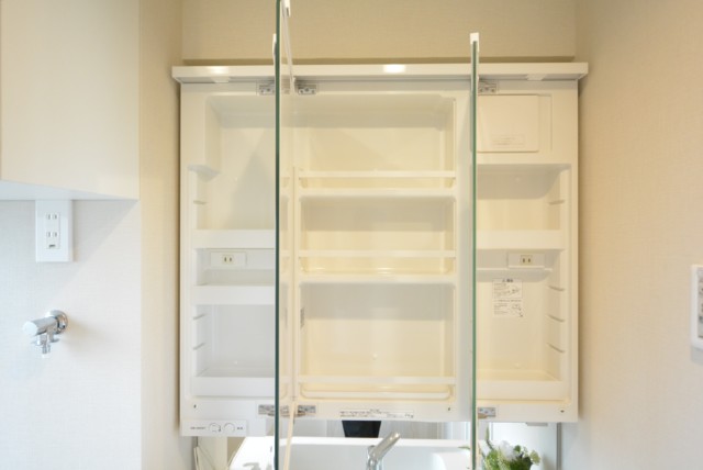 ライオンズマンション学芸大学 洗面室