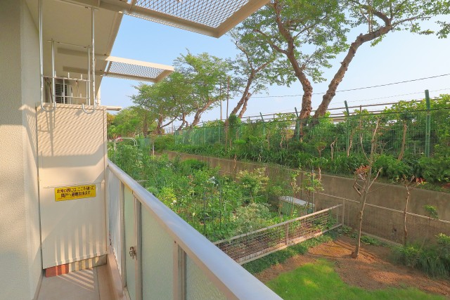 多摩川芙蓉ハイツ バルコニー