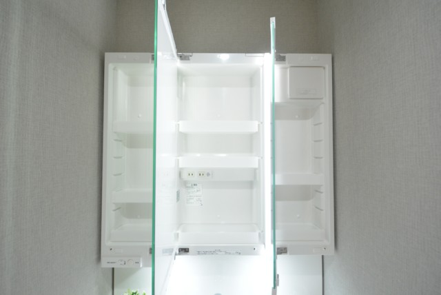 藤和大久保コープ 洗面室