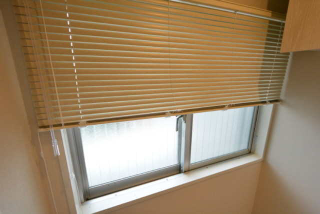 ライオンズマンション学芸大学 洗面室