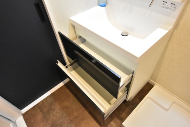秀和南大井レジデンス 洗面室