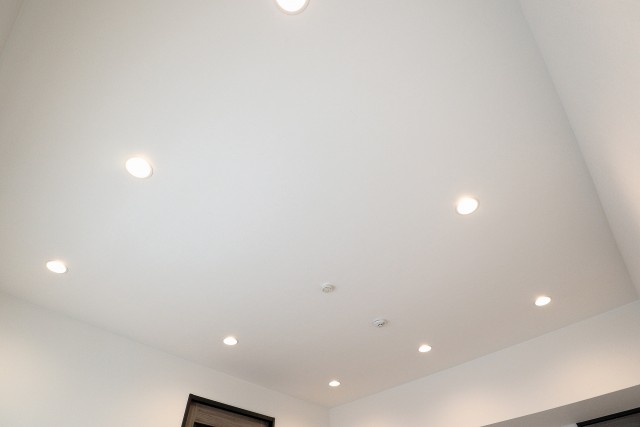 上馬ハイホーム LD