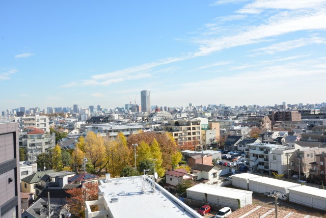 キャッスル共進マンション 玄関