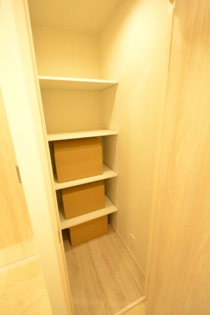 ライオンズマンション学芸大学 廊下収納