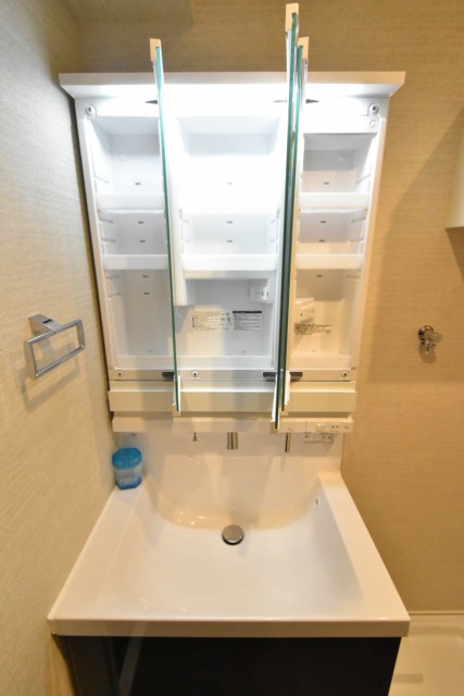 秀和南大井レジデンス 洗面室