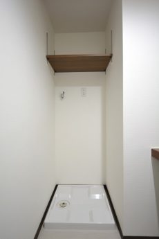 駒場ネオパレス 洗面室 駒場ネオパレス 洗面室