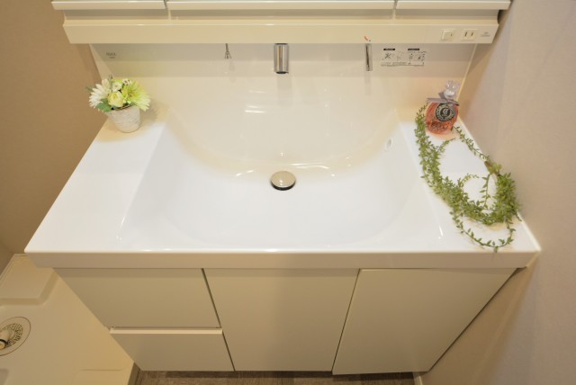 上馬ハイホーム 洗面室