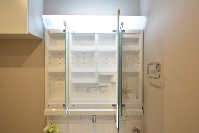 上馬ハイホーム 洗面室