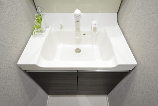 朝日目白台マンション 洗面室