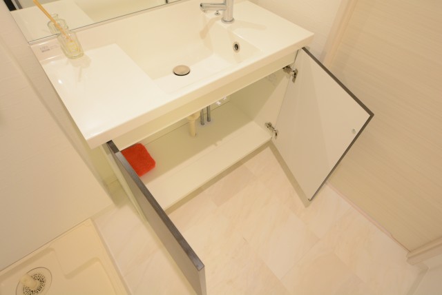 東中野ハイム 洗面室