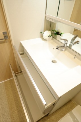 田町東豊エステート 洗面台