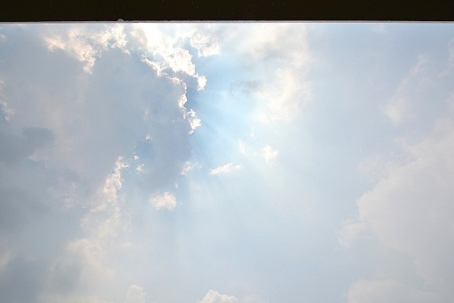 コスモ・ザ・ガーデン二子多摩川⑤ (44)