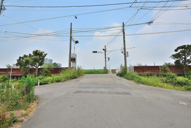 コスモ・ザ・ガーデン二子多摩川⑥多摩川 (1)