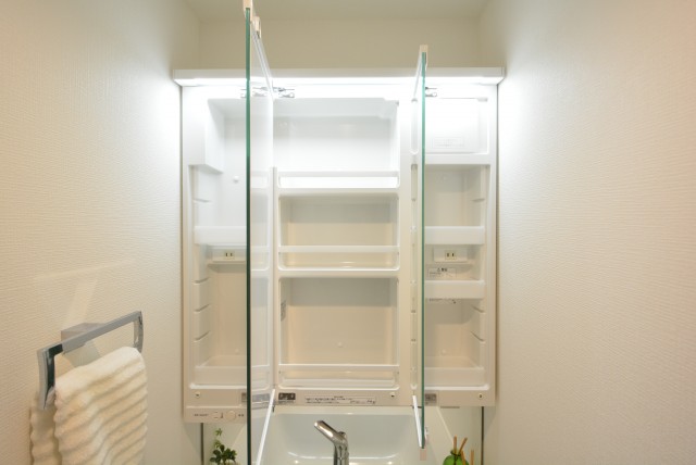 豊栄西荻マンション (50)洗面室