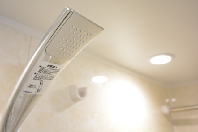 パレス三條 浴室