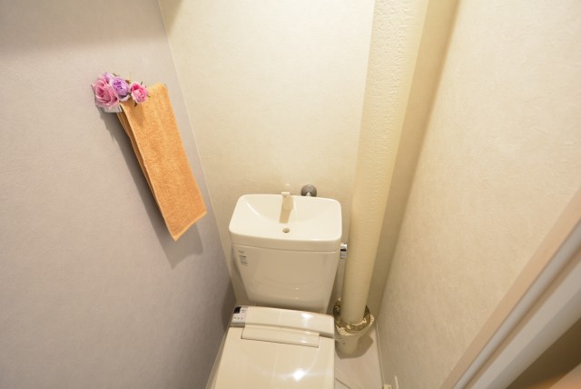 東中野ハイム トイレ