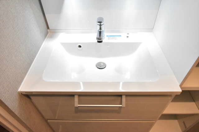 池袋シティハイツ 洗面室