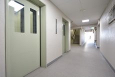 駒場ネオパレス 玄関 駒場ネオパレス 玄関