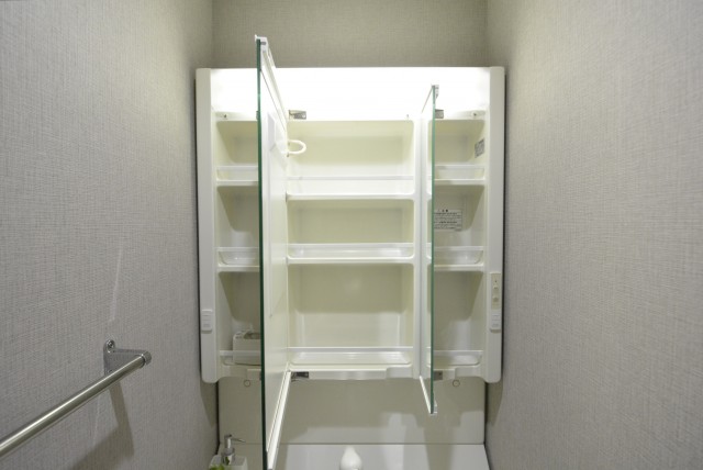 朝日目白台マンション 洗面室