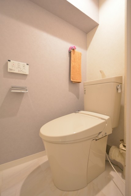 東中野ハイム トイレ