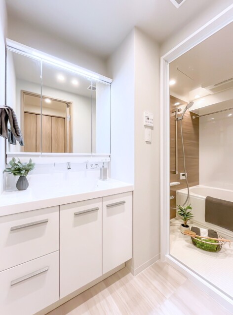 フリーディオ芝公園 洗面室