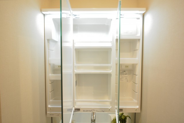 幡ヶ谷コーエイマンション 洗面室