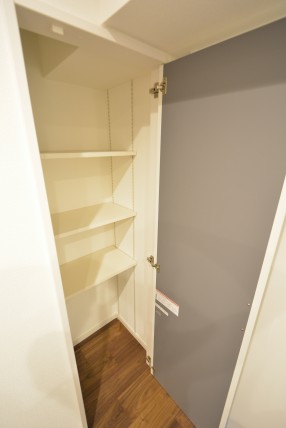 上馬ハイホーム LDK収納