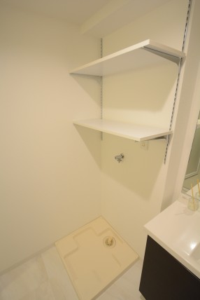 東中野ハイム 洗面室