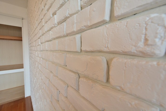 コスモ・ザ・ガーデン二子多摩川③ (39)