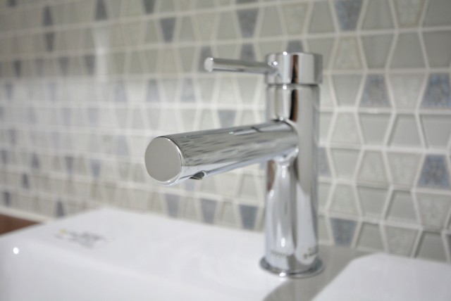 駒場ネオパレス 洗面室