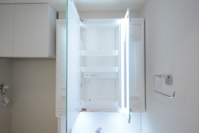 グリーンヒル新宿 洗面室