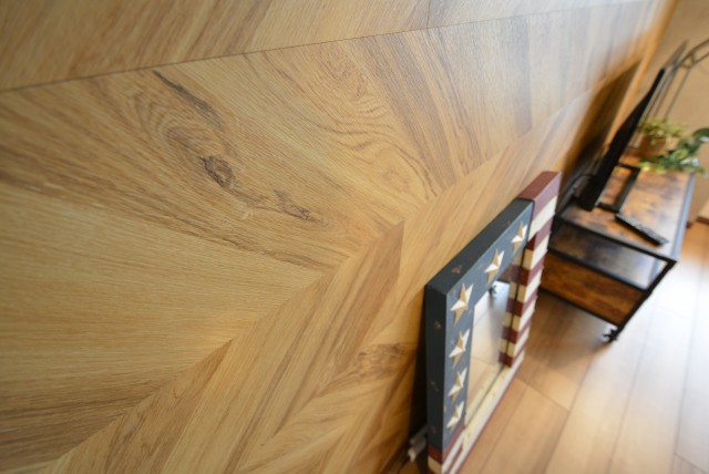 グリーンヒル新宿 LDK+洋室2