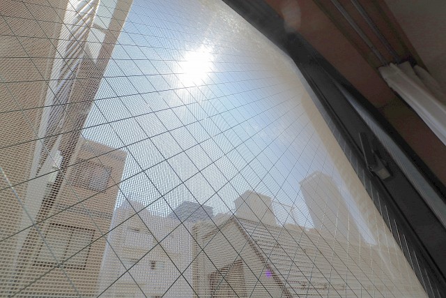 クレストフォルム月島セントラルコート 洋室6.3