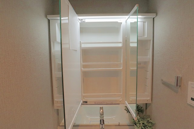 柿の木坂東豊エステート 洗面