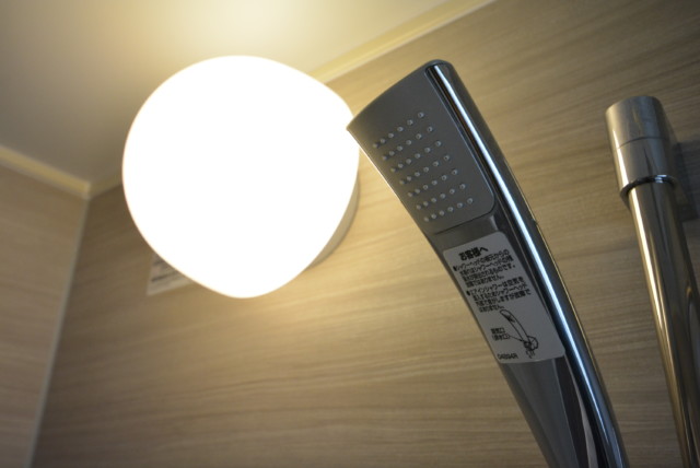 トーエイ高井戸 浴室