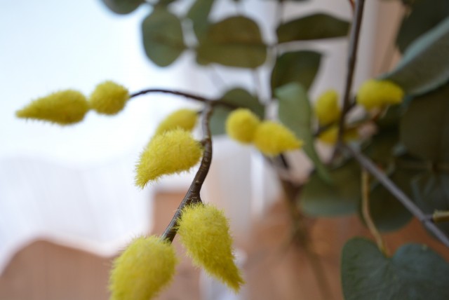 NK五反田コータース LDK+洋室