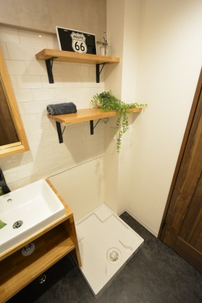 グリーンヒル新宿 洗面室