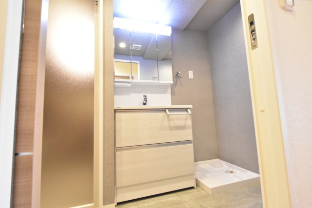 東中野ハイム 洗面室