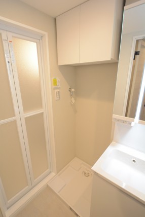 グリーンヒル新宿 洗面室