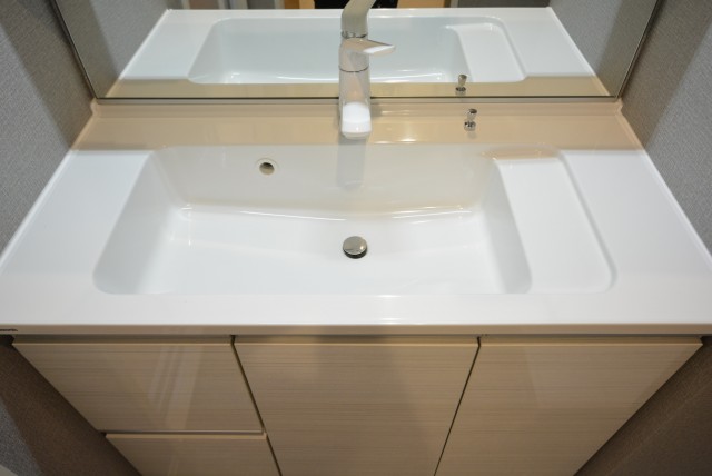 シャトレ市ヶ谷 洗面室