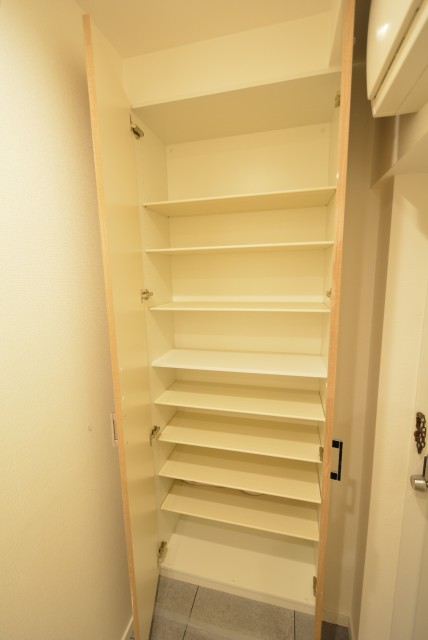 シャトレ市ヶ谷 玄関