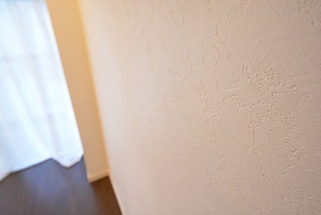 駒場ネオパレス LDK