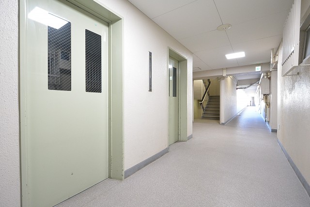 駒場ネオパレス 玄関