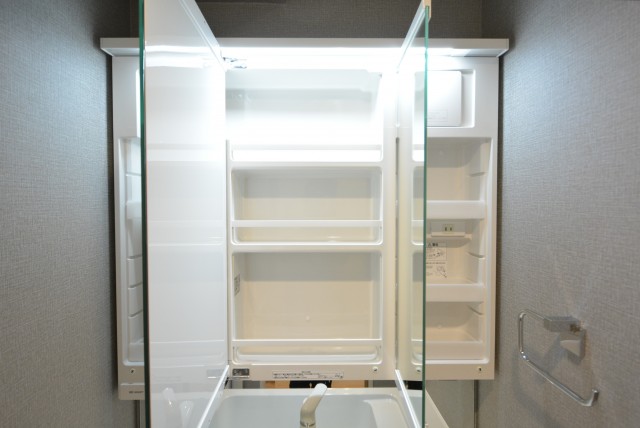 シャトレ市ヶ谷 洗面室