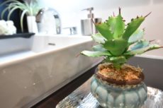 カルム桜新町パティオ 洗面室 カルム桜新町パティオ 洗面室