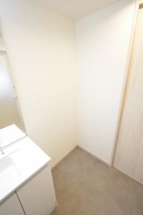 日生野沢マンション 洗面室