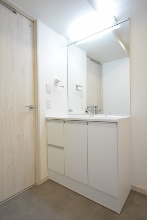 日生野沢マンション 洗面室