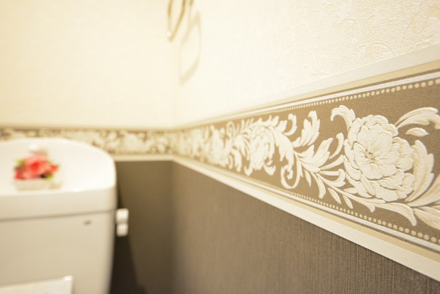 駒場ネオパレス トイレ